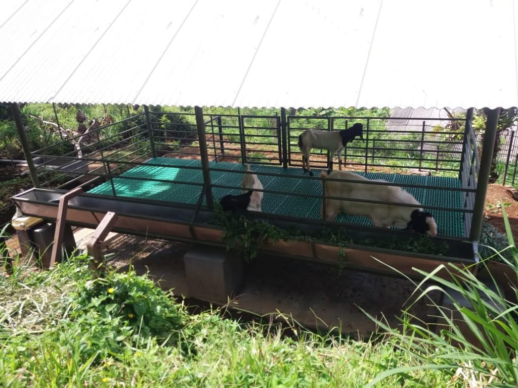 603987ef-607e-4011-82f8-70a89612970d