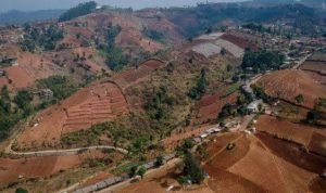 Pemulihan KBU, Perlu Pendekatan Multidimensi