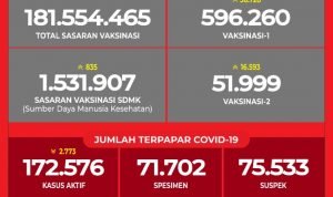 Data Vaksinasi COVID-19 (Update per 2 Februari 2021)